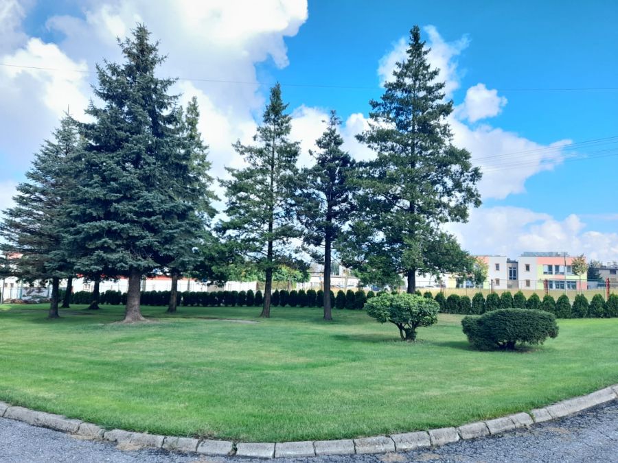 1. Budowa altany piknikowej wraz z domkiem gospodarczym